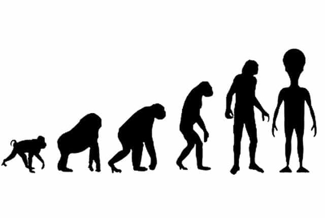 التطور الفوضوي